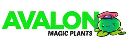  Avalon Magic Plants