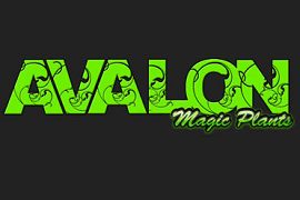  Avalon Magic Plants